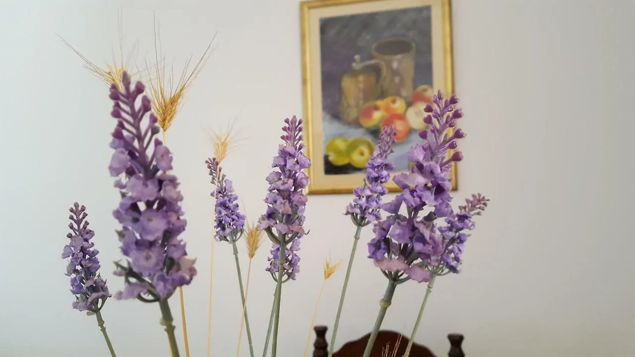 Apartment Bevanda Pula Croatia