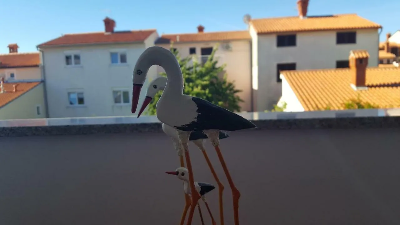 Bevanda Pula